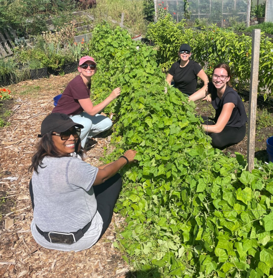 Sustainability Article