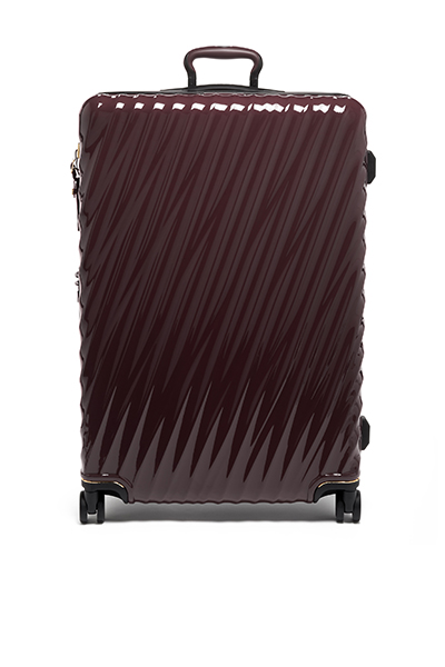Checked Luggage